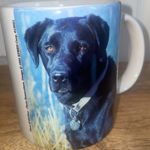 🖤Black Labrador Retriever Mug VTG 1992 XPRESS corp Mug. - Picture 5 of 7